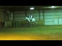 \"All Riled UP\" AKA Riley-horse for sale!