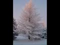 raskasta joulua -levylt�.
