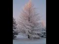 raskasta joulua -levylt�.
