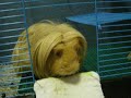 UNNO's daily life (4 Sep 08)
