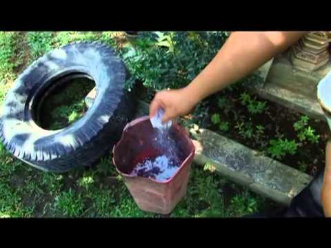how to control dengue fever