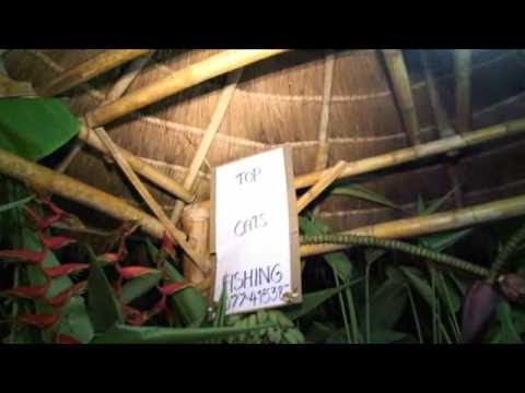 The Korda Boys visit Thailand (pt8) at Thailand, Aug 2009