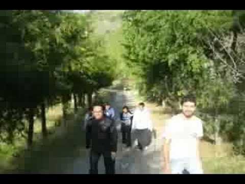 See video See video