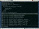 First Linux check out First Linux check out