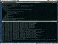 First Linux check out