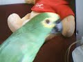 Uma tarde com o Lorim Uma tarde com o Lorim