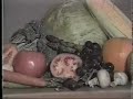 News 10 (LA) Profile of the Blood Type Diet