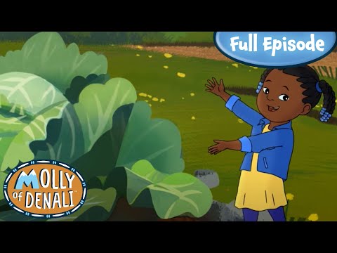Cabbagezilla | Molly of Denali Full Episode!