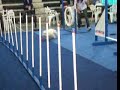 Argie : Primeros pasos en Agility!