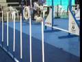 Argie : Primeros pasos en Agility!