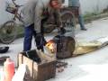 videos de Pop Corn making 3
