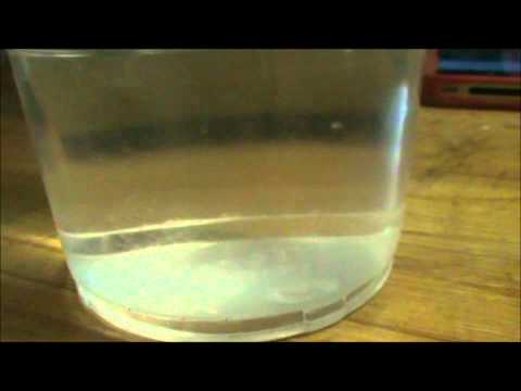 how to dissolve rock sugar faster