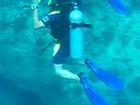 Longfifou fait de la plongée aux Maldives