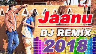 DJ Remix Jaanu  Rajasthani Song 2018  Full Audio S