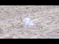 Click here to watch this video PETARDY Lontowe 859 im Feld