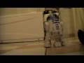 R2D2 abducts duck
