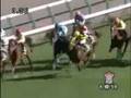 2008 クイーンステークス QUEEN STAKES