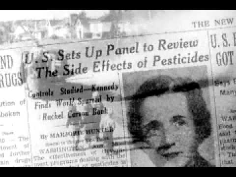 Rachel Carson DDT chemical pesticides