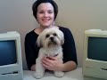 i love my mac