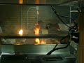 The Fire