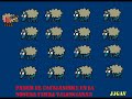 Valenciafreedom.com - Sempre en Acció!! Valenciafreedom.com - Sempre en Acció!!