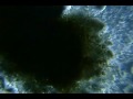 O poder destruidor do crack - DFTV