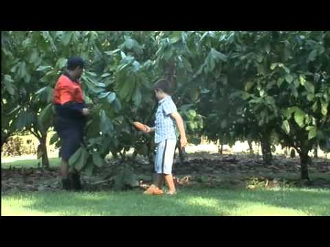 how to help qld farmers