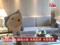 北縣市價高 首購族轉戰桃園