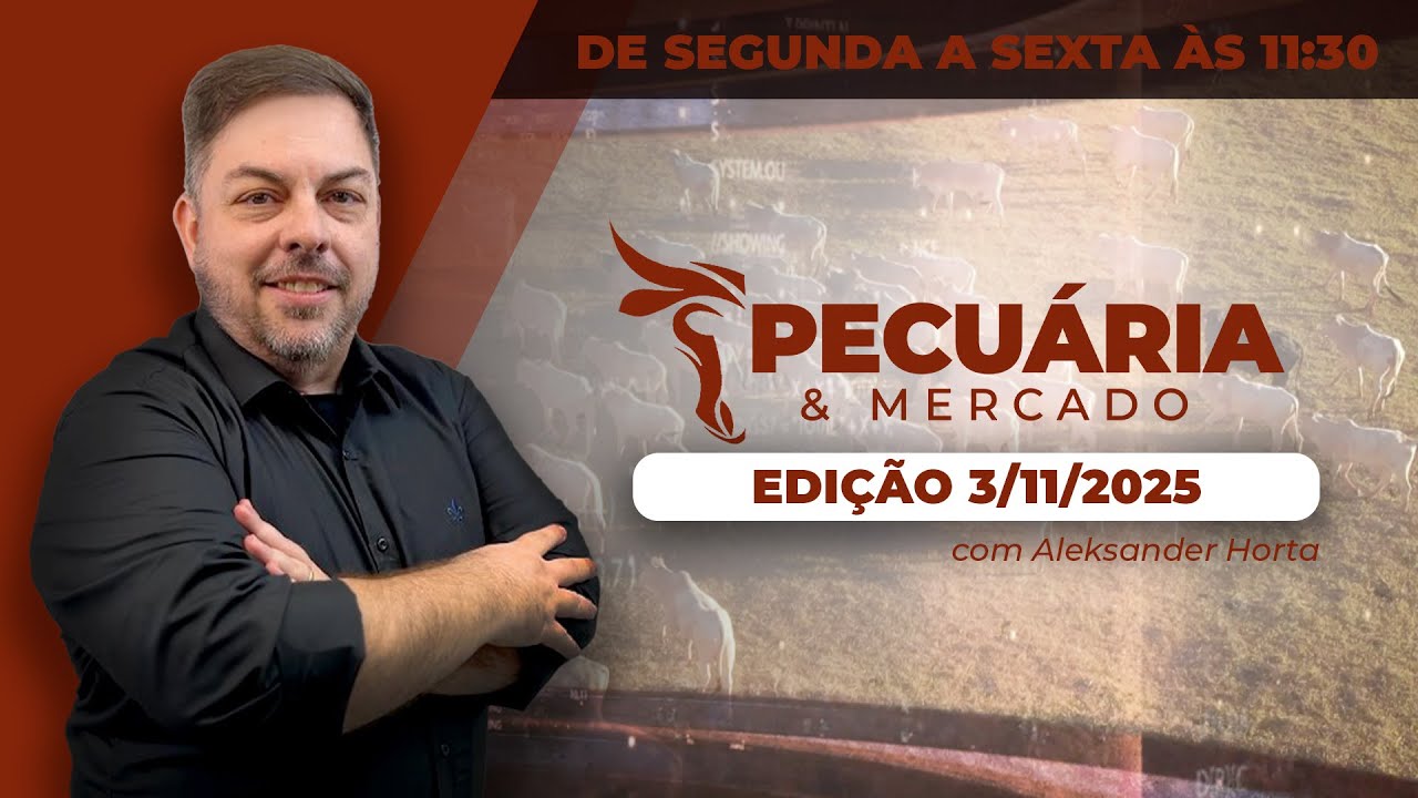 PECUÁRIA E MERCADO - EDIÇÃO 03-11-2025