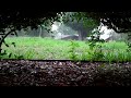 'Rain Sounds' 2 hours 'Sleep Video' Heavy Rain Sounds HD