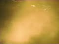 Bon Jovi - Glory Days (Live 1995)