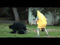 gorilla-vs-the-banana-man300-style.html