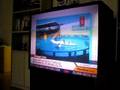 videos de Shelby Proie on CNN /Lolita's Release  Oct. 17th 2008