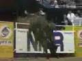 Rodeo Tribute