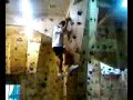 tiibo en action