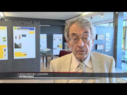 JT Monaco Info du lundi 10 juin 2013