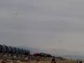 videos de Galveston    