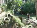 mini mullisha compound