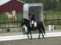 Jardar hele programmet