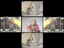 the good ol' uk boys take a safe, catchy tune and remix it with dire results.  unbelievable stuff.