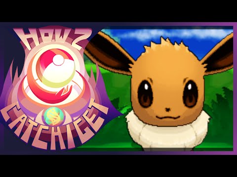 how to get eevee in pokemon c