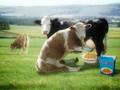 BREAKFAST MILK Sumo.tv Ident Cyriak