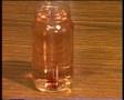 Osmosis & diffusion ii