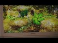 lego indiana jones the lost temple part 1