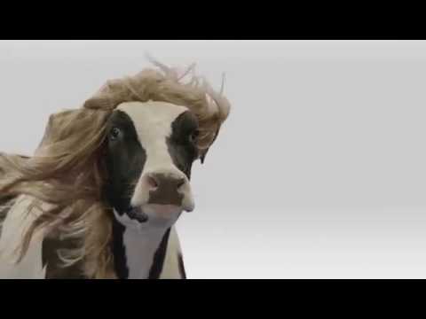 Paródia/Redublagem Ariana Grande - Problem
