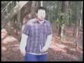 Adema - Immortal