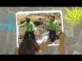 Fragancia Mix - Saltando y danzando