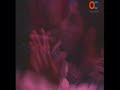 pasodoble ascenso del cádiz los parias