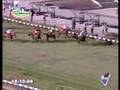 2008 GUSTAVO PRADO HEUDEBERT グスタボ プラド へデベレト