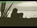 Reza Sadeghi ( Khodahafez Clip )